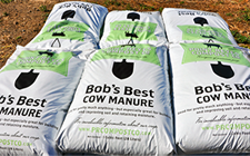 bob's best