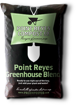 greenhouse blend