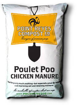 poulet poo